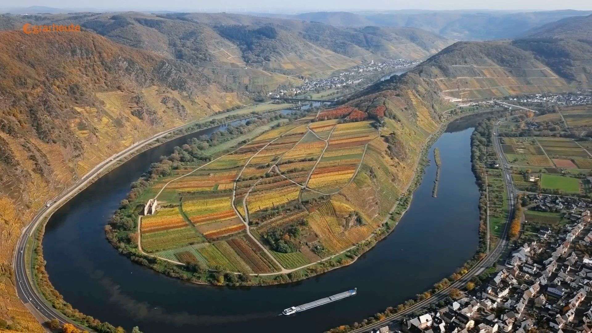 Weinbau in der Krise - "Hälfte der deutschen Winzer droht das Aus"