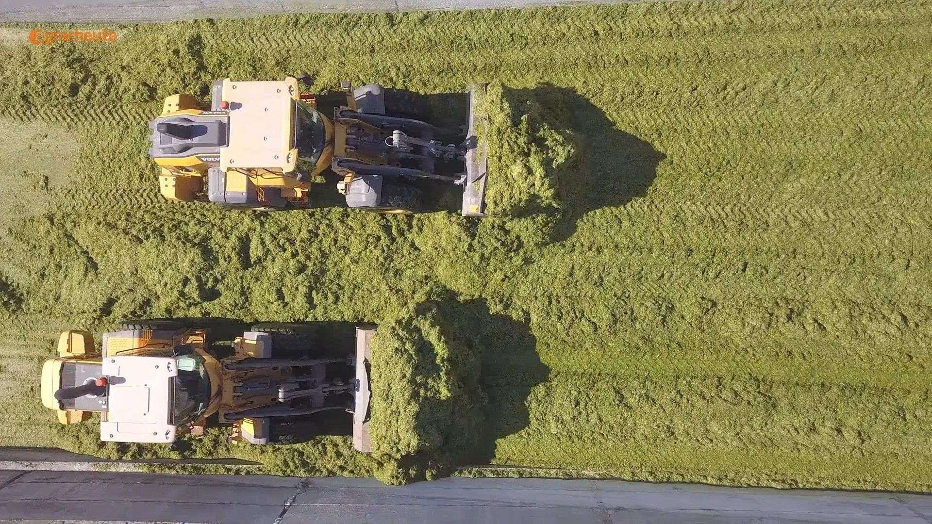Best Feed Basis: 4 Steps to Perfect Corn Silage