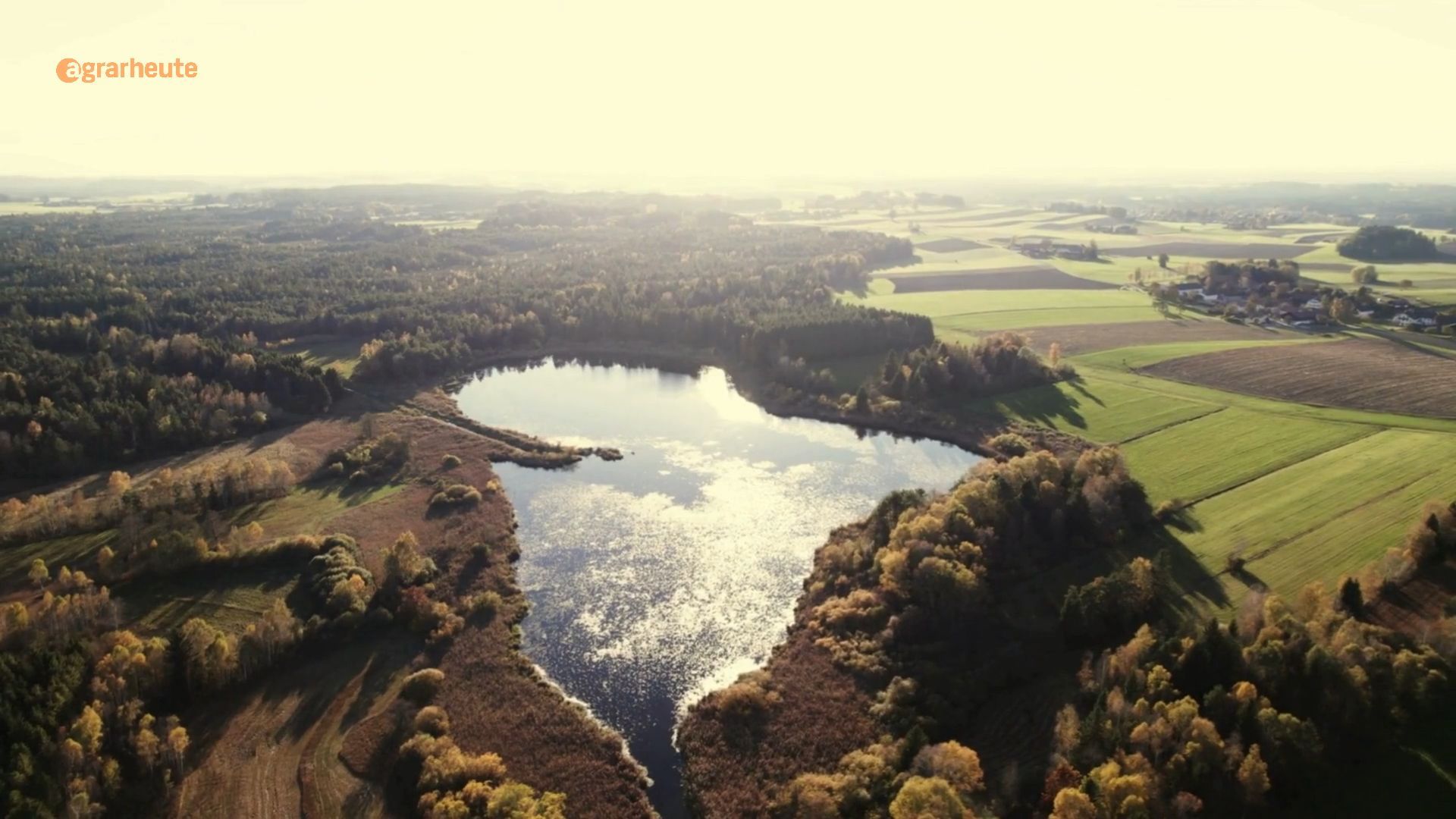 Forester sues water tax - in the forest: Are farmers and foresters equal?