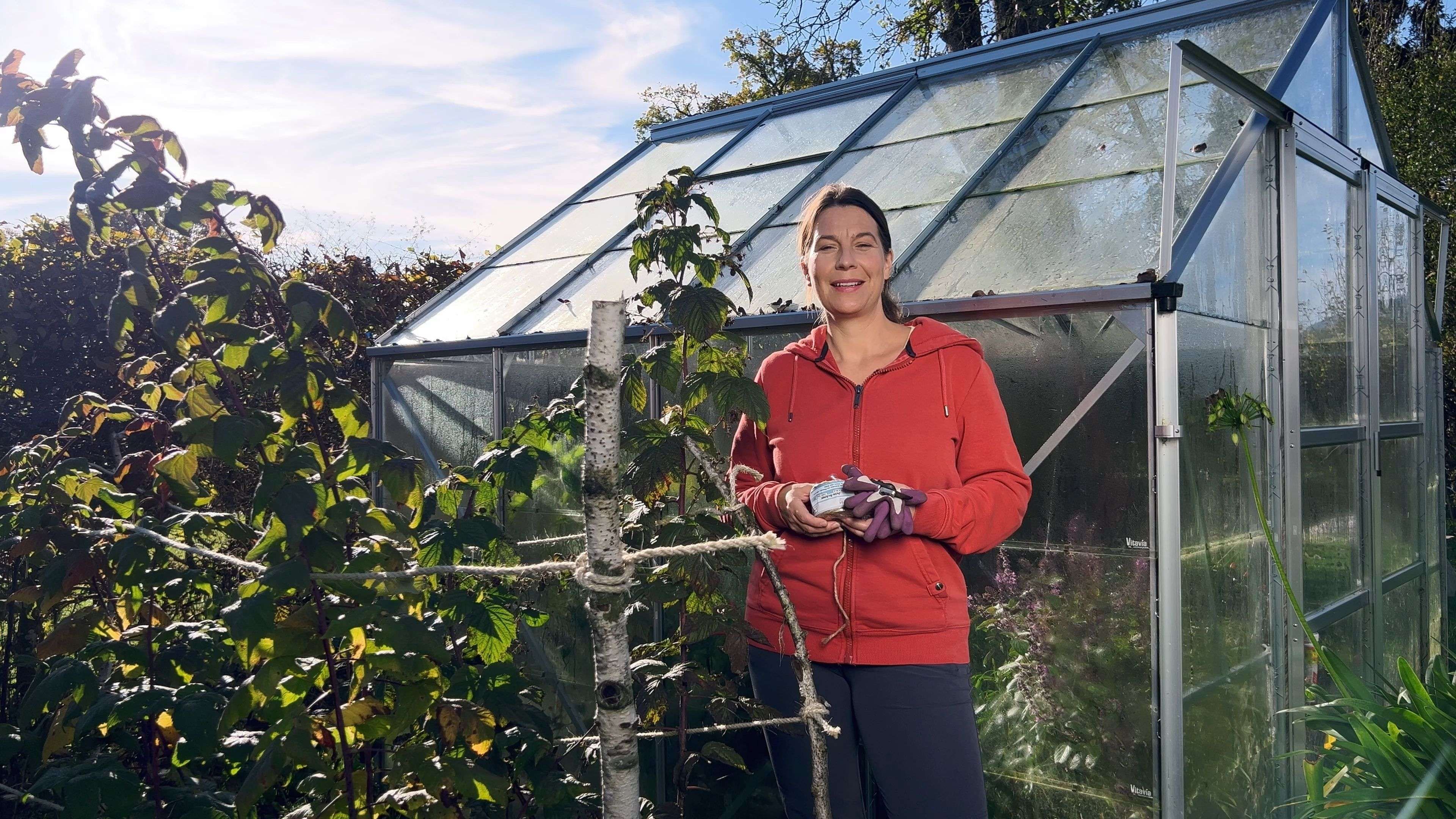 Trimming Raspberries: With this trick, it doesn't matter if it's summer or autumn raspberry