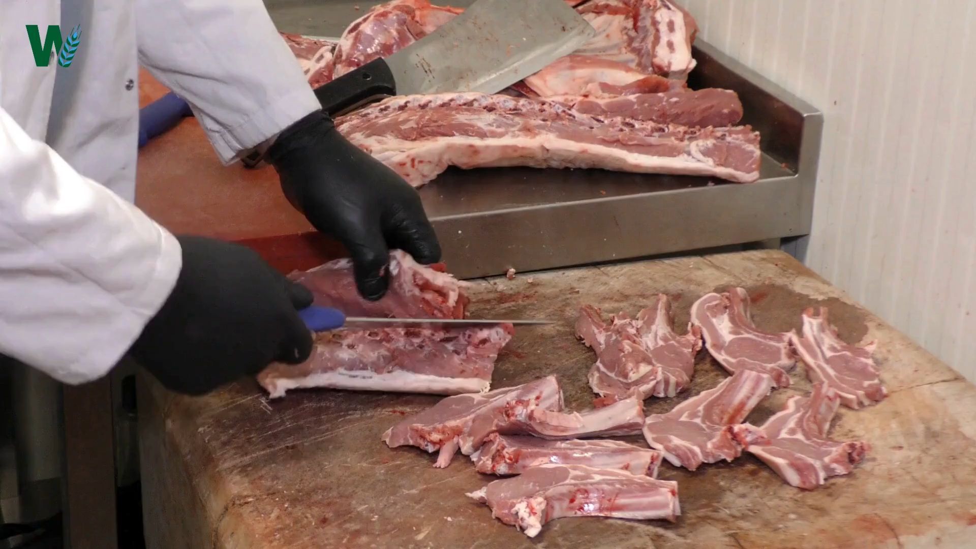 Pig Industry in Crisis: Are Higher Costs and Longer Transport Times Looming?