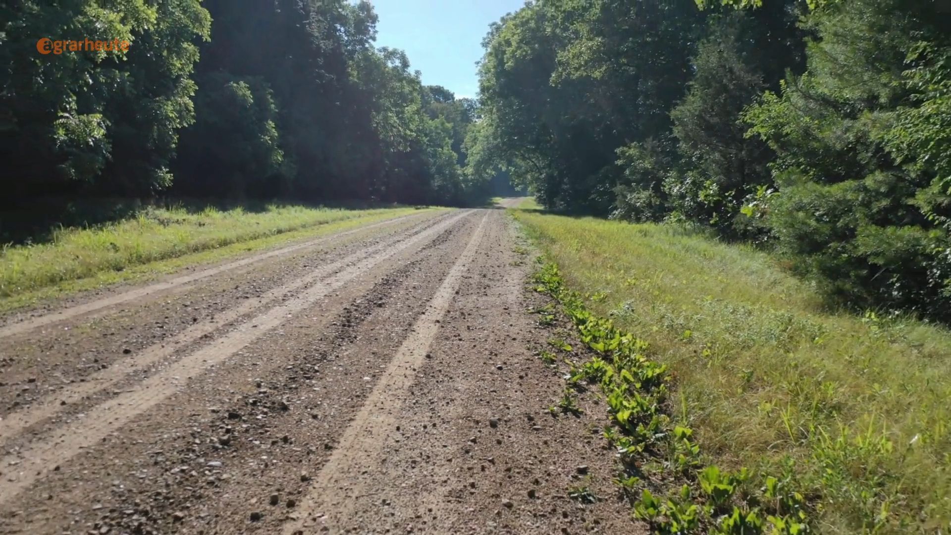 Farmers block access road - with chains and tree trunks: Authority up in arms