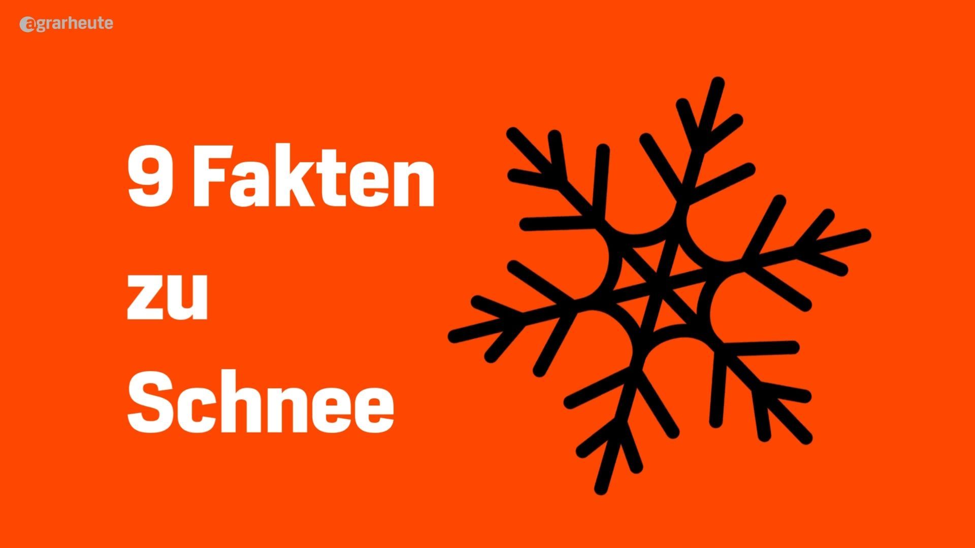 No artificial snow without agriculture: 9 facts about snow