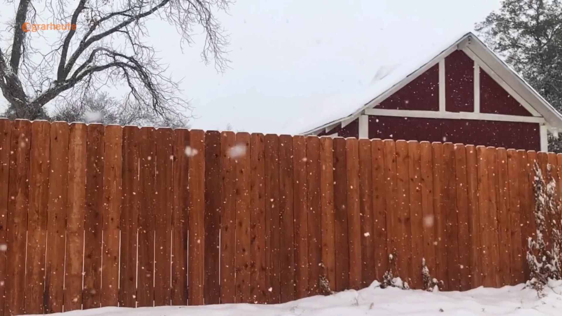 Farmer builds tall fence - around fruit trees and grassland: Court orders fence to be torn down again
