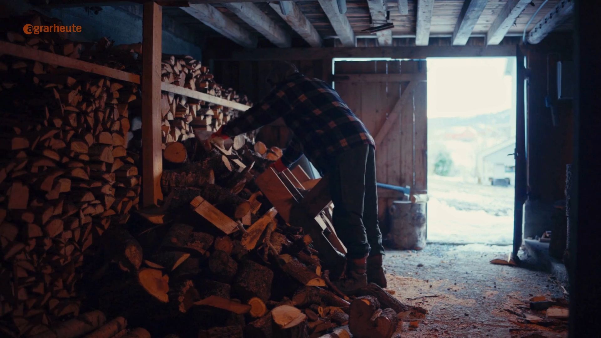 Forester builds wood store - with roof: Building authority enforces demolition of the wood store