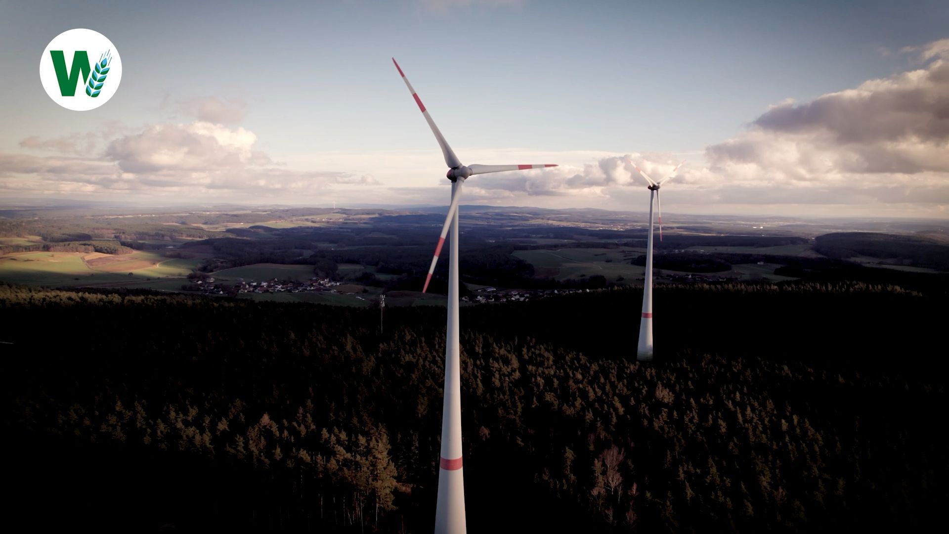 Video: Windkraft im Wald: Für und Wider
