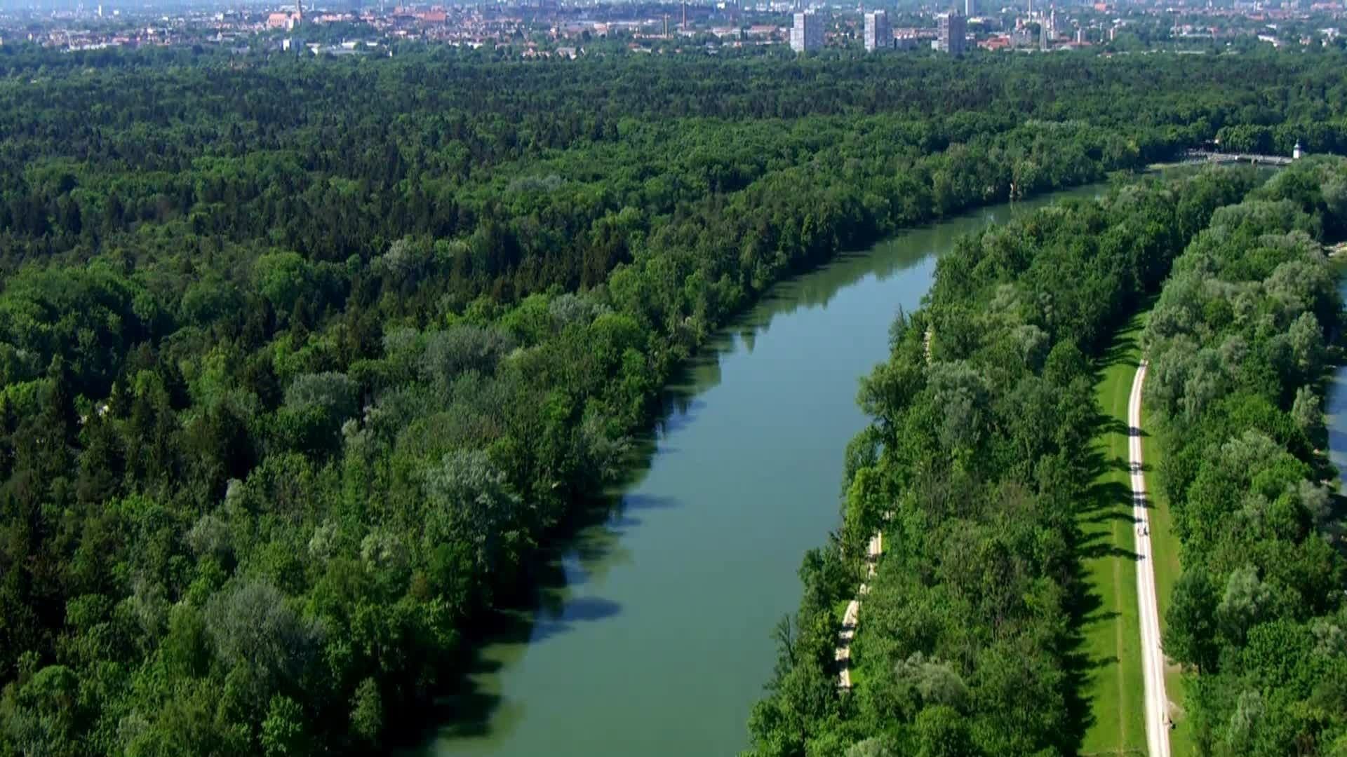 Video: Patient Wald – Fichtensterben als große Herausforderung