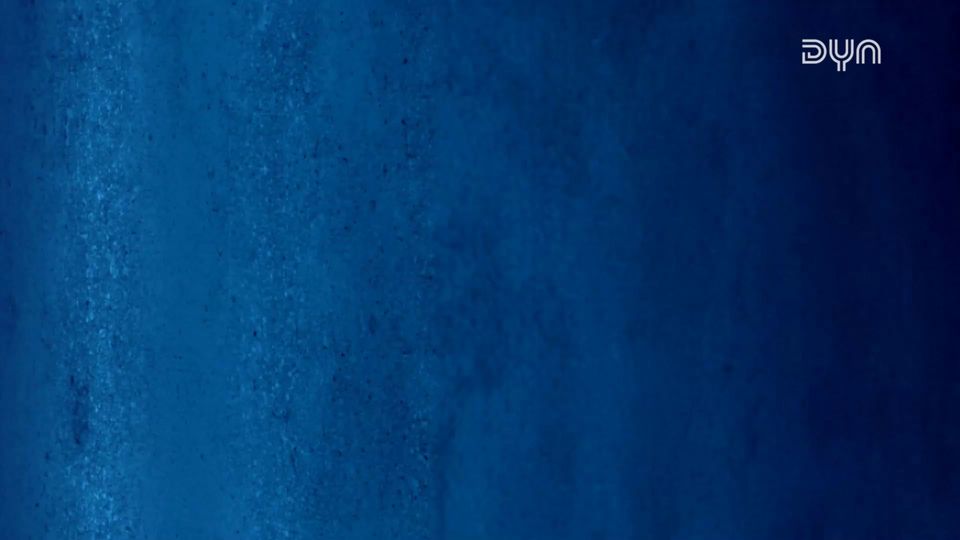 Spiel Highlights zu Fitness First Würzburg Baskets – SKYLINERS Frankfurt