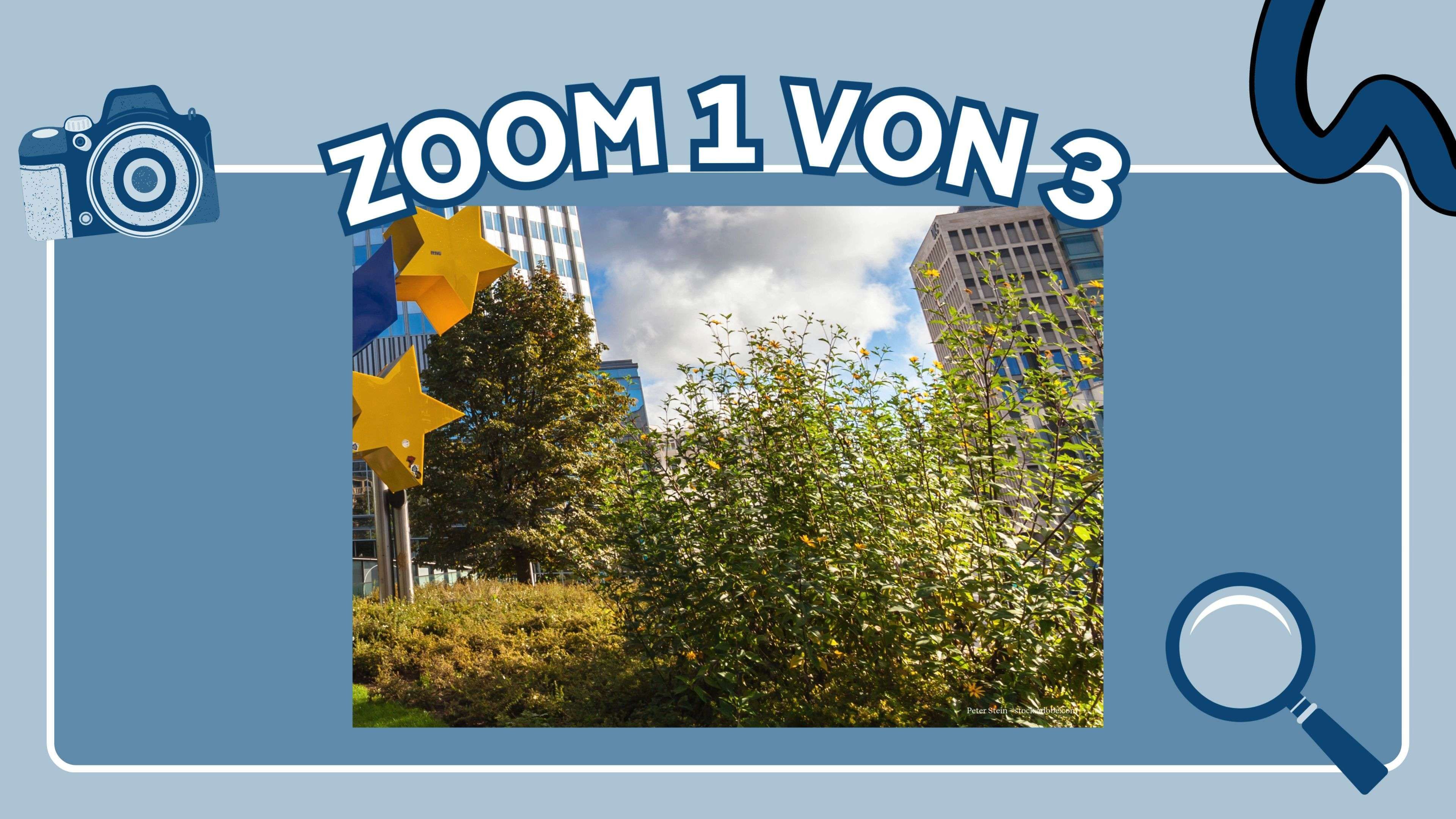 Zoom Puzzle of the Week: Can you recognize this motif?