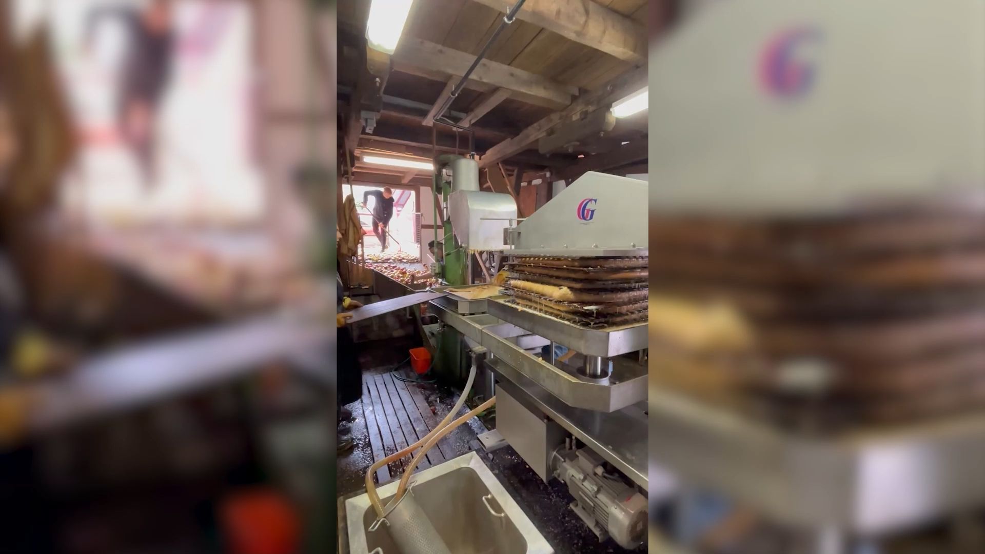 Juice from own apples: Behind the scenes of the press house in Gernsbach-Lautenbach