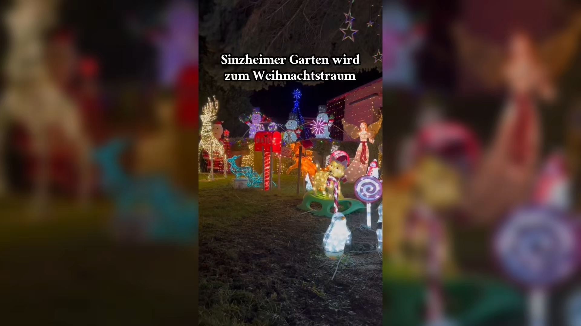 Video: Garten in Sinzheim wird zur Weihnachtssensation