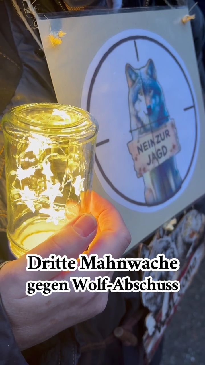 Video: Die dritte Mahnwache gegen den Wolf-Abschuss