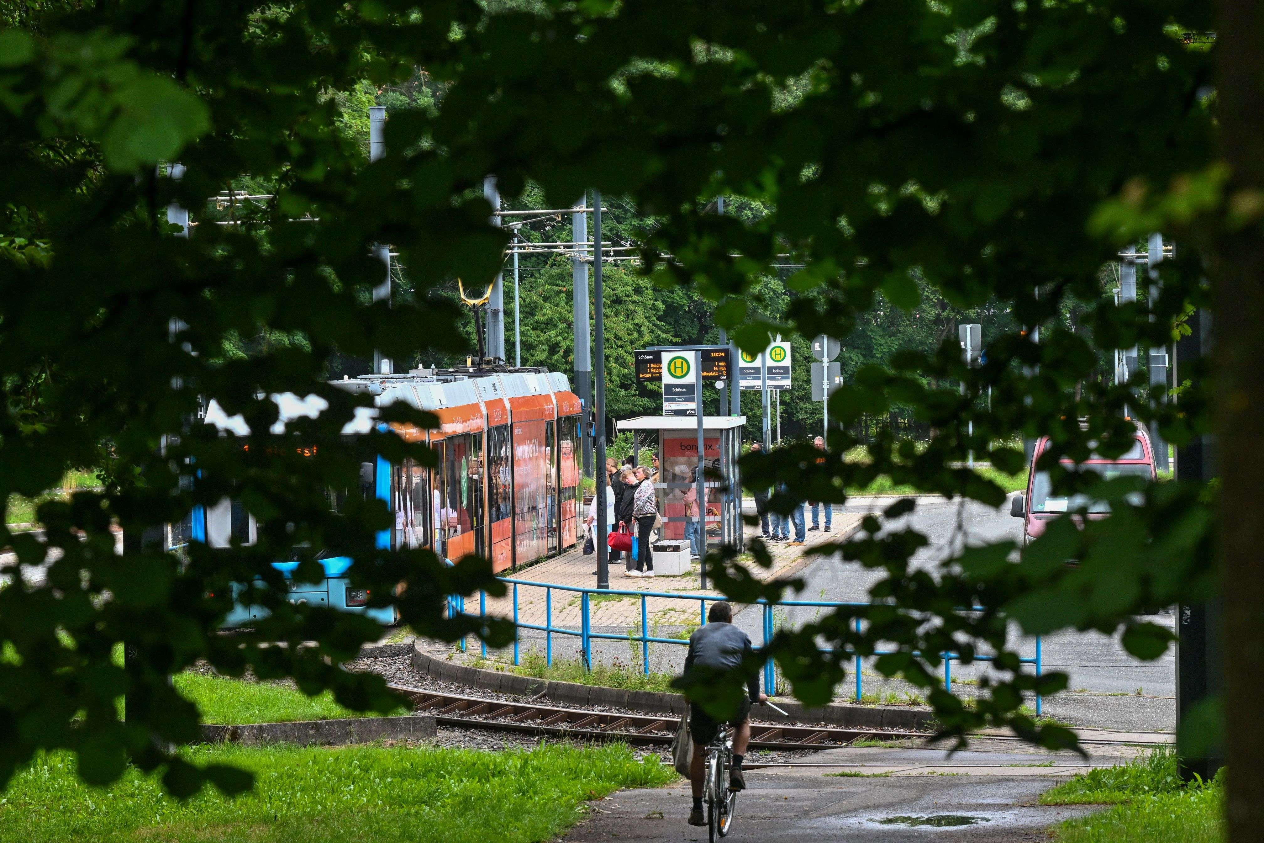 Video: Rittergutpark im Chemnitzer Westen wird auf Vordermann gebracht