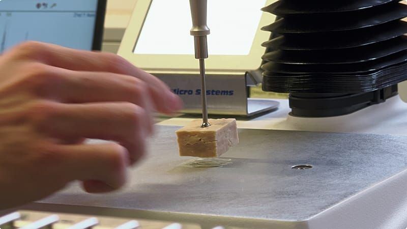 Video: Labor-Proteine für eine hungrige Menschheit – made in Europe