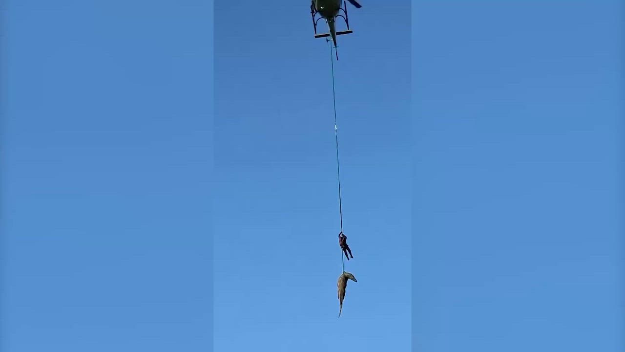 Video: Südafrika: Polizei fliegt Krokodil vom Komati-Fluss aus nach mutmaßlichem Verschlucken im Fall einer vermissten Person aus