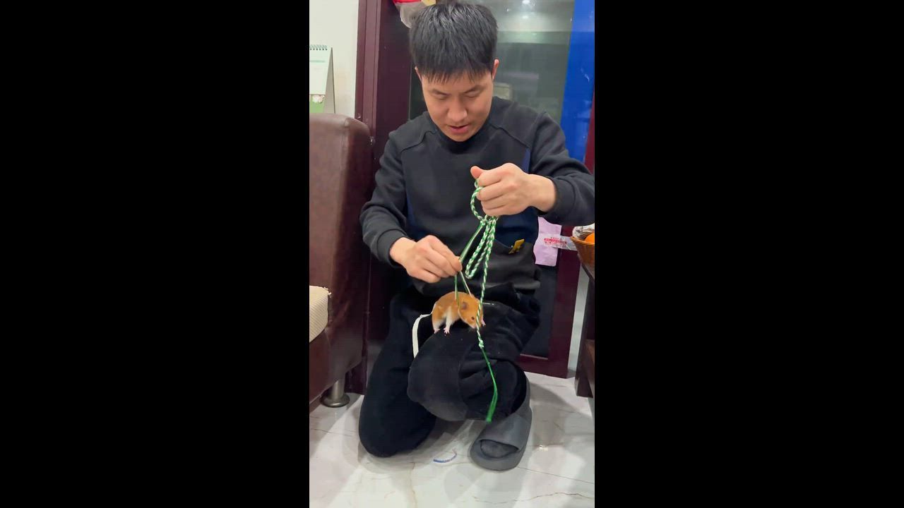 Video: China: Besitzer in China lockt mit einem Hamster einen anderen unter dem Sofa hervor