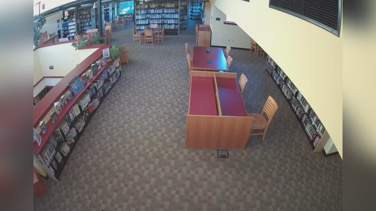 Video: USA: Bär spaziert am 100. Geburtstag von Pu dem Bären in eine Bibliothek in Kalifornien