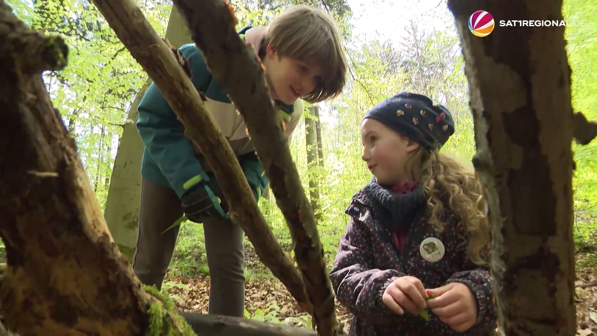 Unterricht in der Natur: Grundschüler erleben Wald hautnah