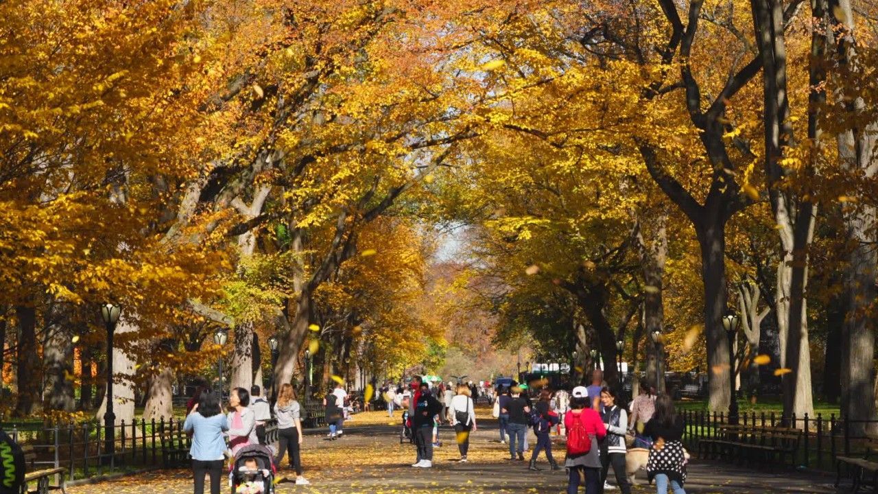 Reifen, Winterzeit und Nachtzüge: Das kommt im Oktober auf uns zu