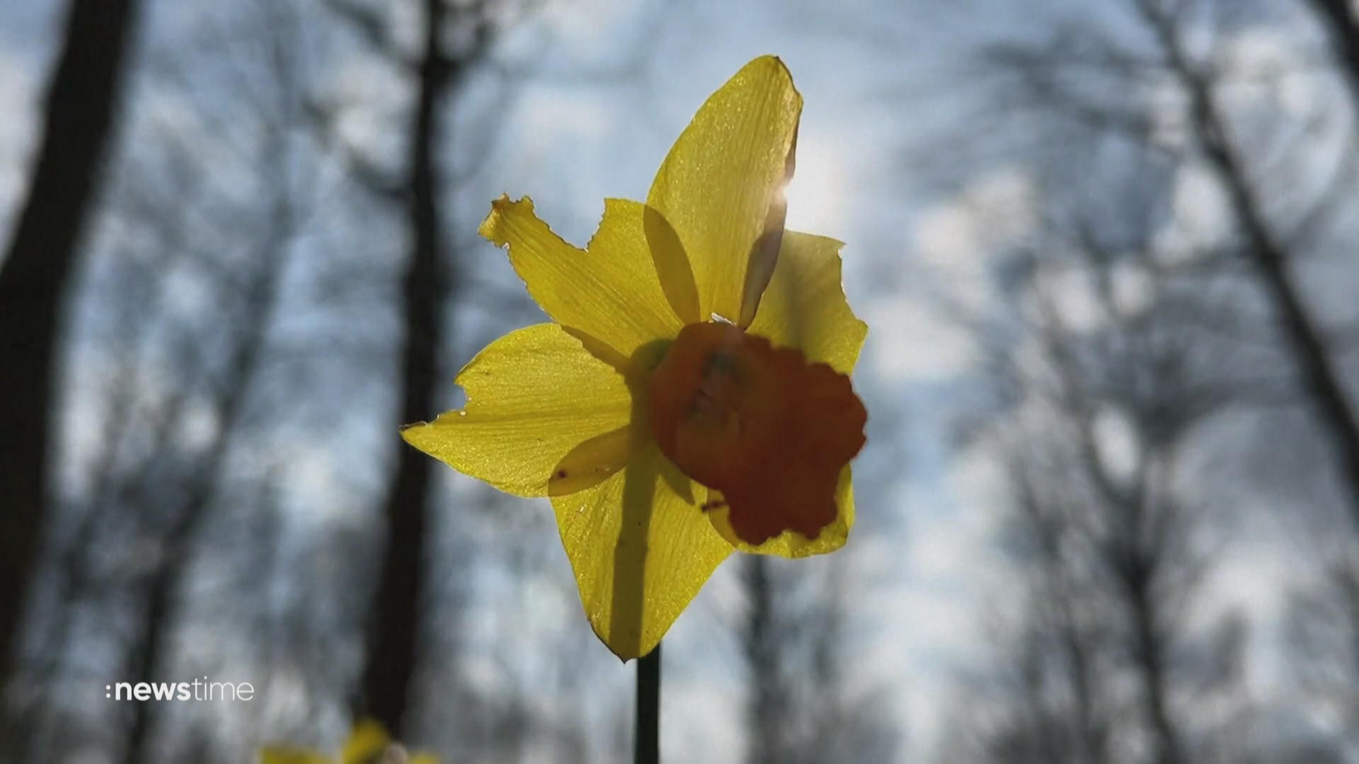 Diese Änderungen bringt der April