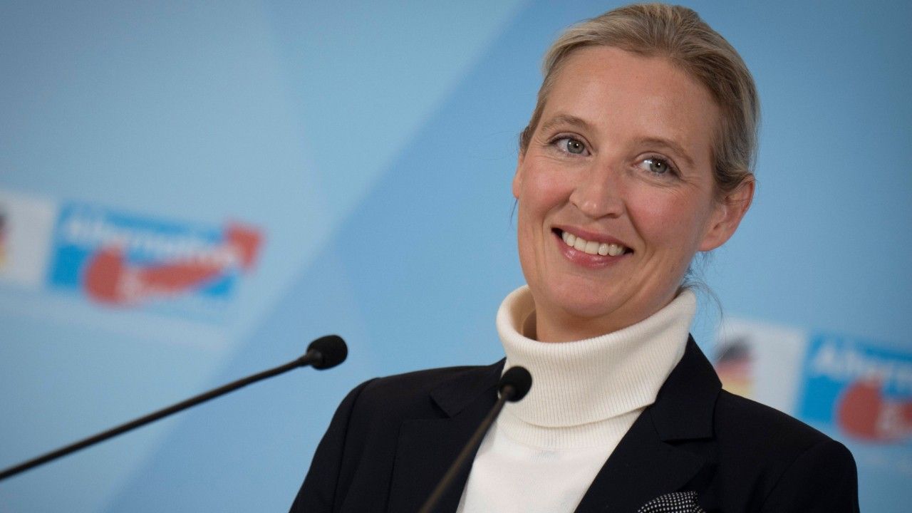 Insa: AfD auf Umfrage-Rekordhoch