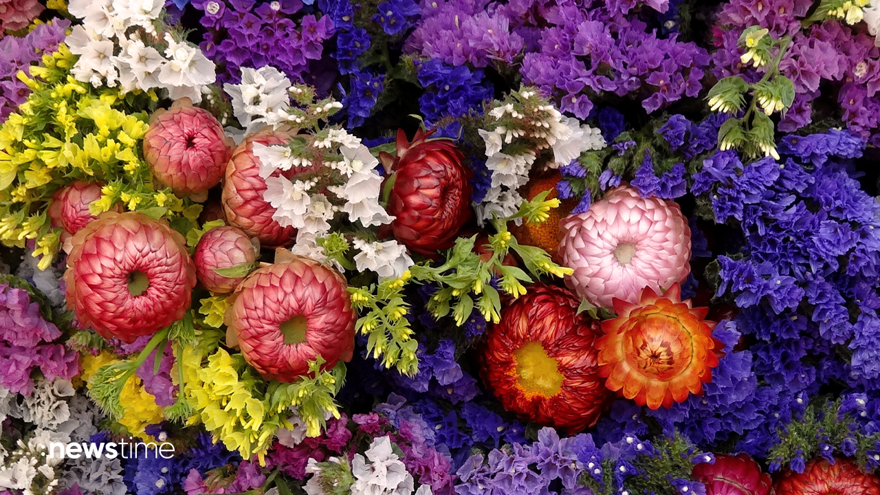 Video: Muttertag: Wie Deutschland seinen Müttern Danke sagt