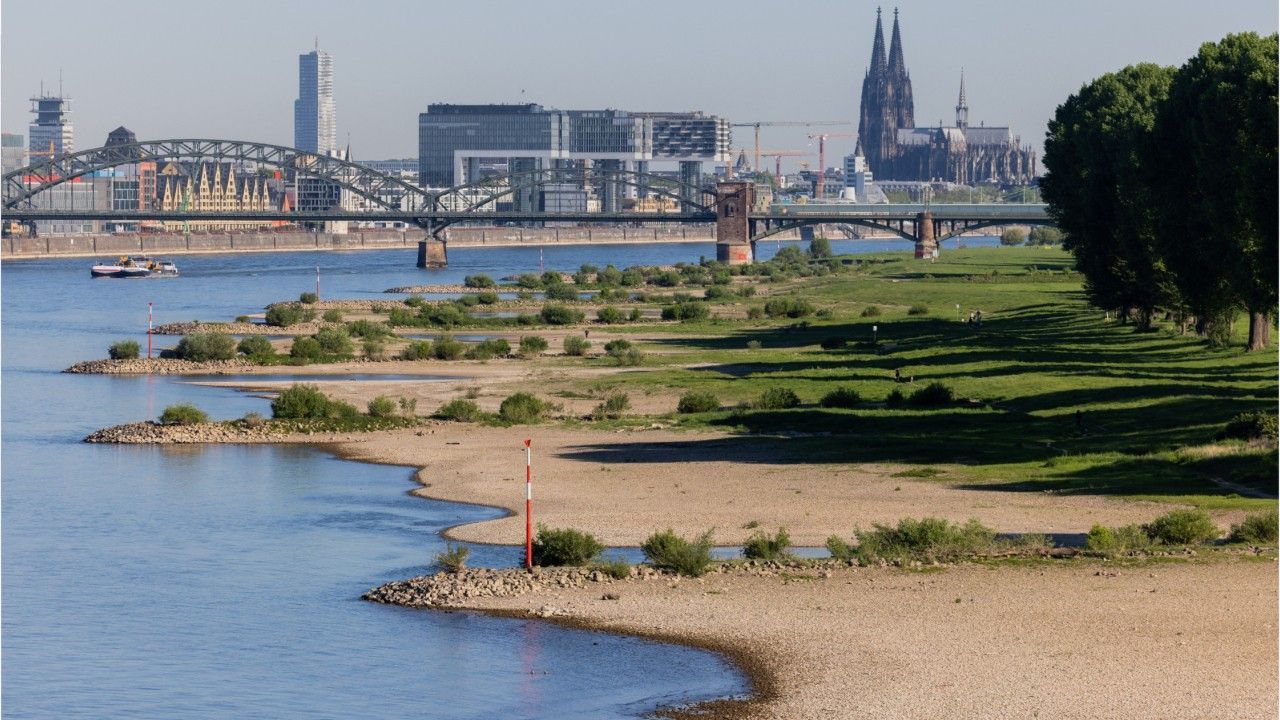 Zu wenig Regen: Das sind die Folgen für den Rhein