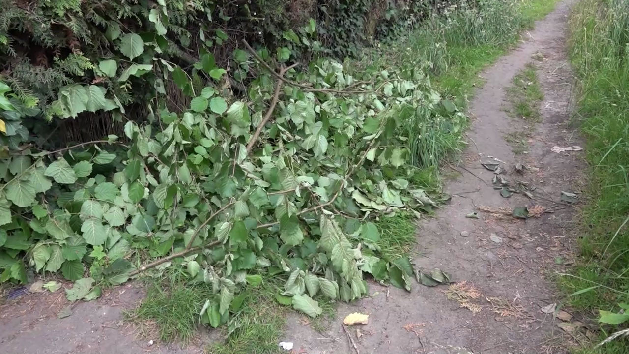 Video: 84-Jähriger eskaliert: Hecken-Krieg in Lüner Kleingartenanlage