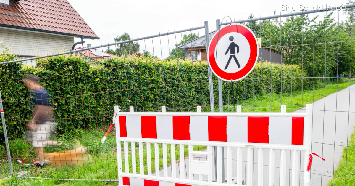 Alligator-Alarm in Niedersachsen