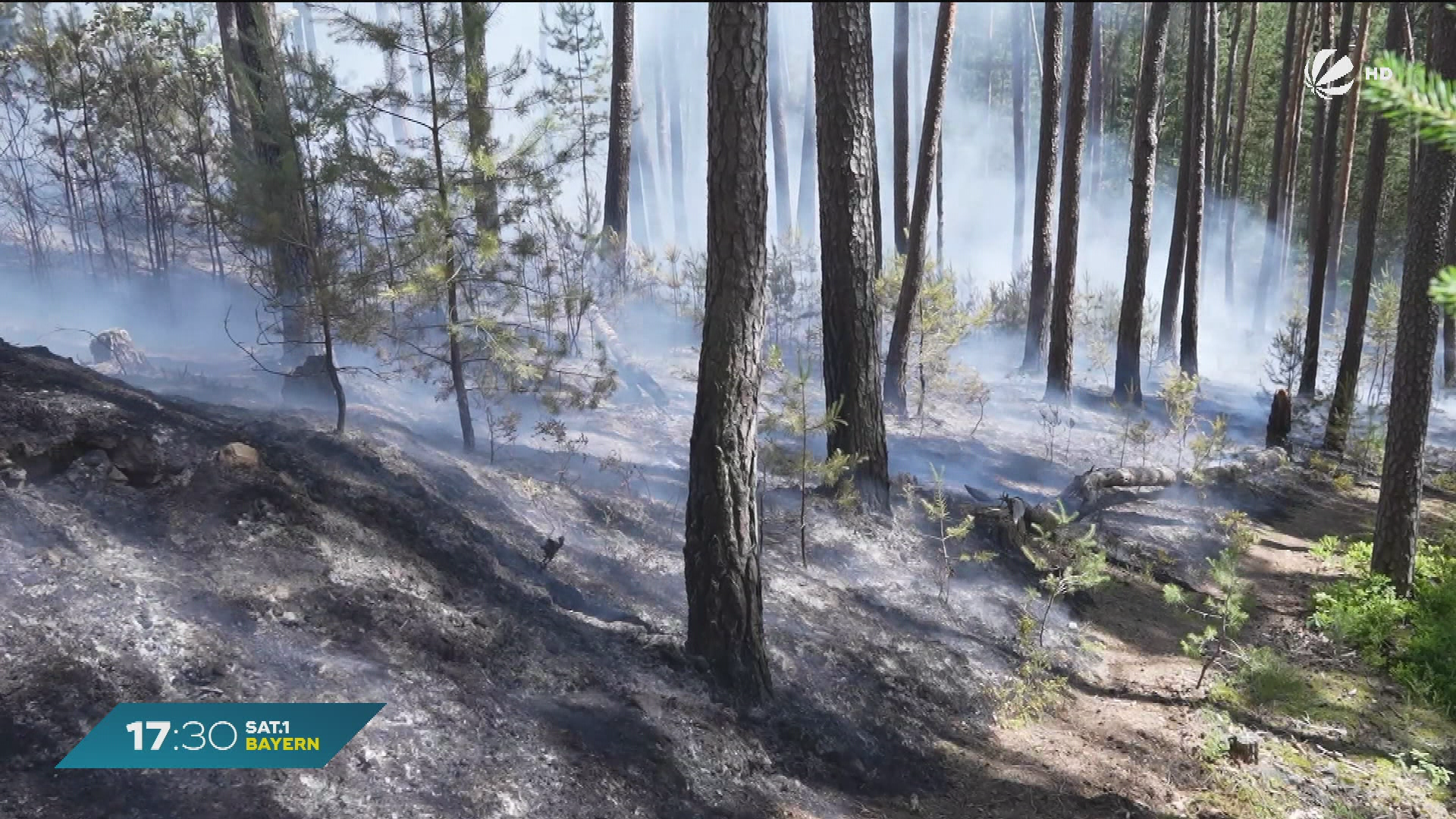 Video: Waldbrand bei Wendelstein: 8.000 Quadratmeter in Flammen