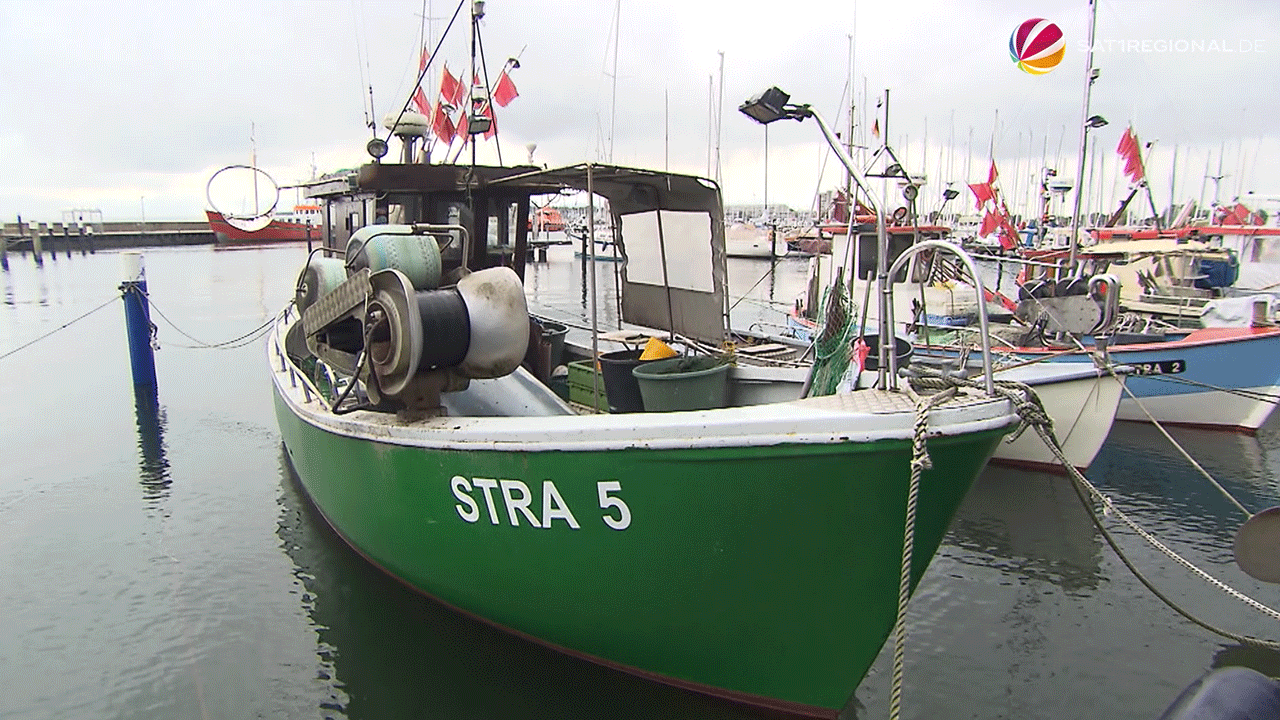 Video: Fischer in Schleswig-Holstein weiter unter Druck