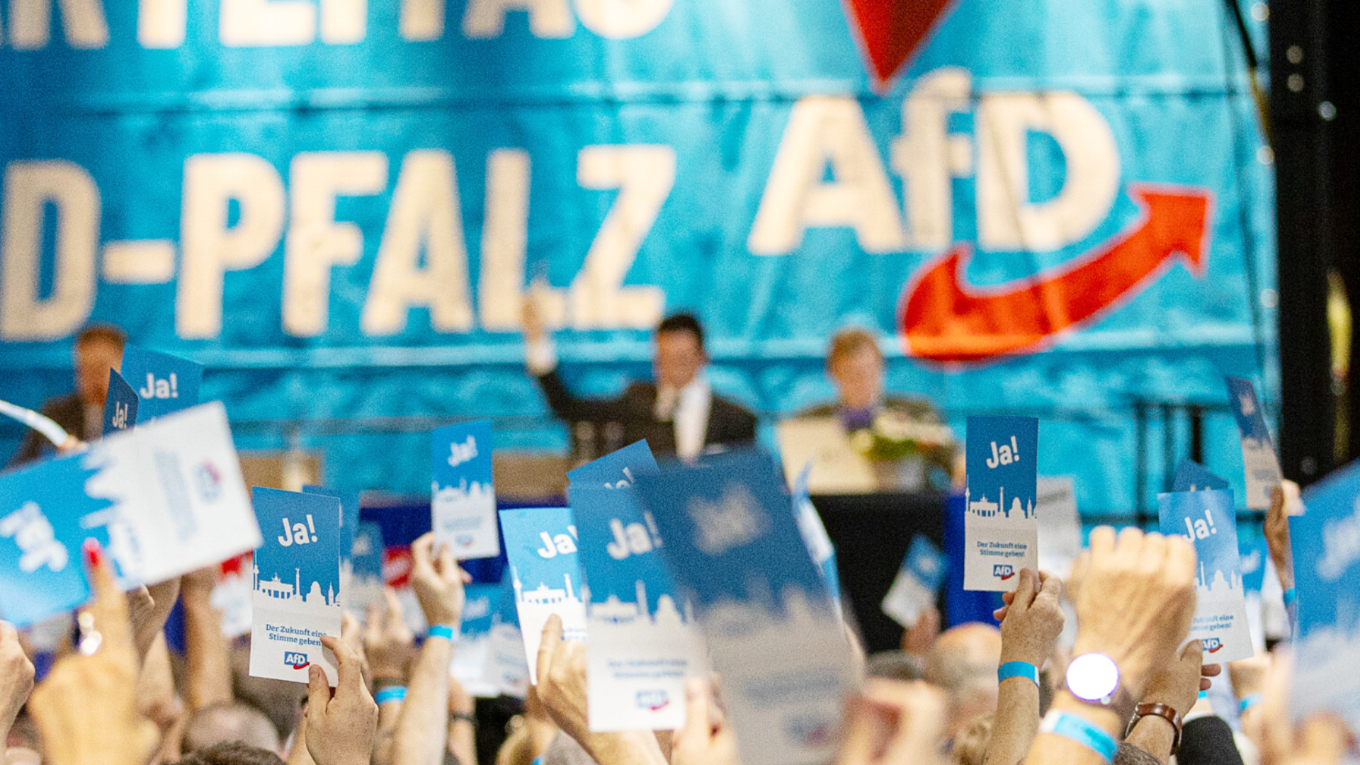 Video: RLP stellt keine AfD-Mitglieder mehr ein