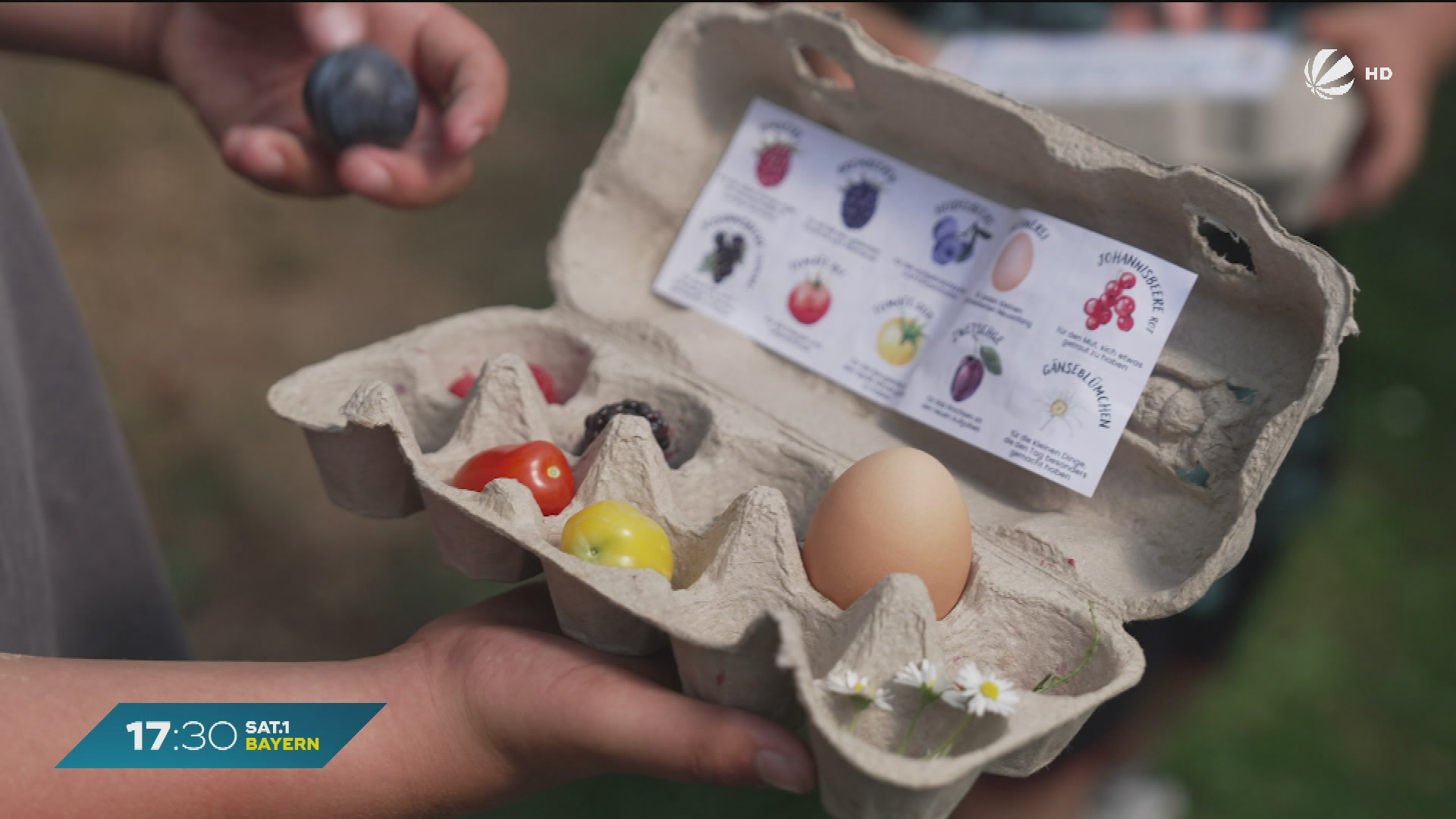 Video: Mit dem Zeugnis aufs Feld: Erntebingo-Aktion in Erlangen