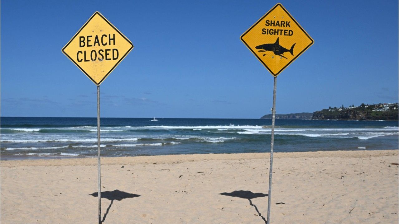 Hai-Attacke vor Sydney: Surfer tot