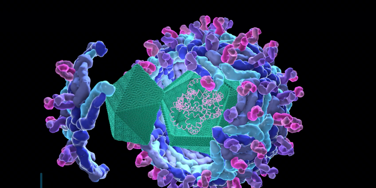 West-Nil-Virus breitet sich weiter aus