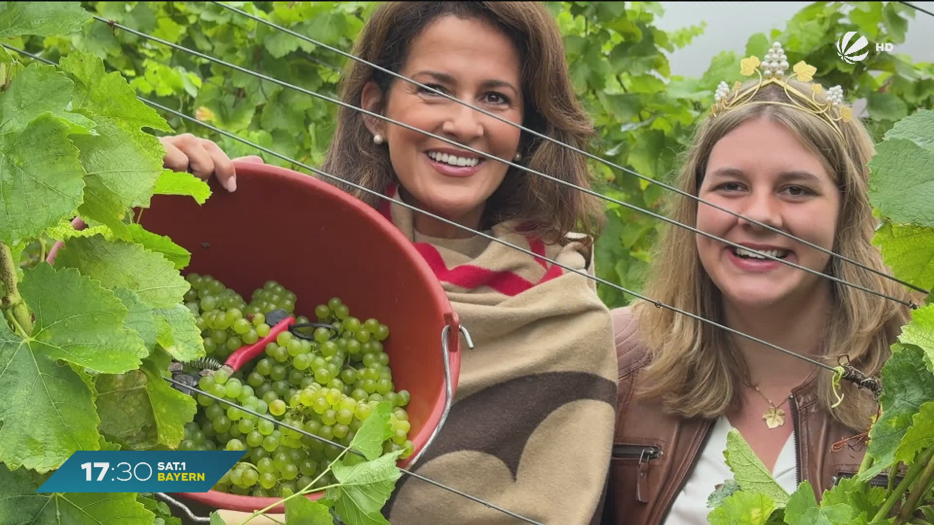 Video: Weinlese in Würzburg gestartet: Wirtschaftliche Sorgen trotz gutem Jahrgang?