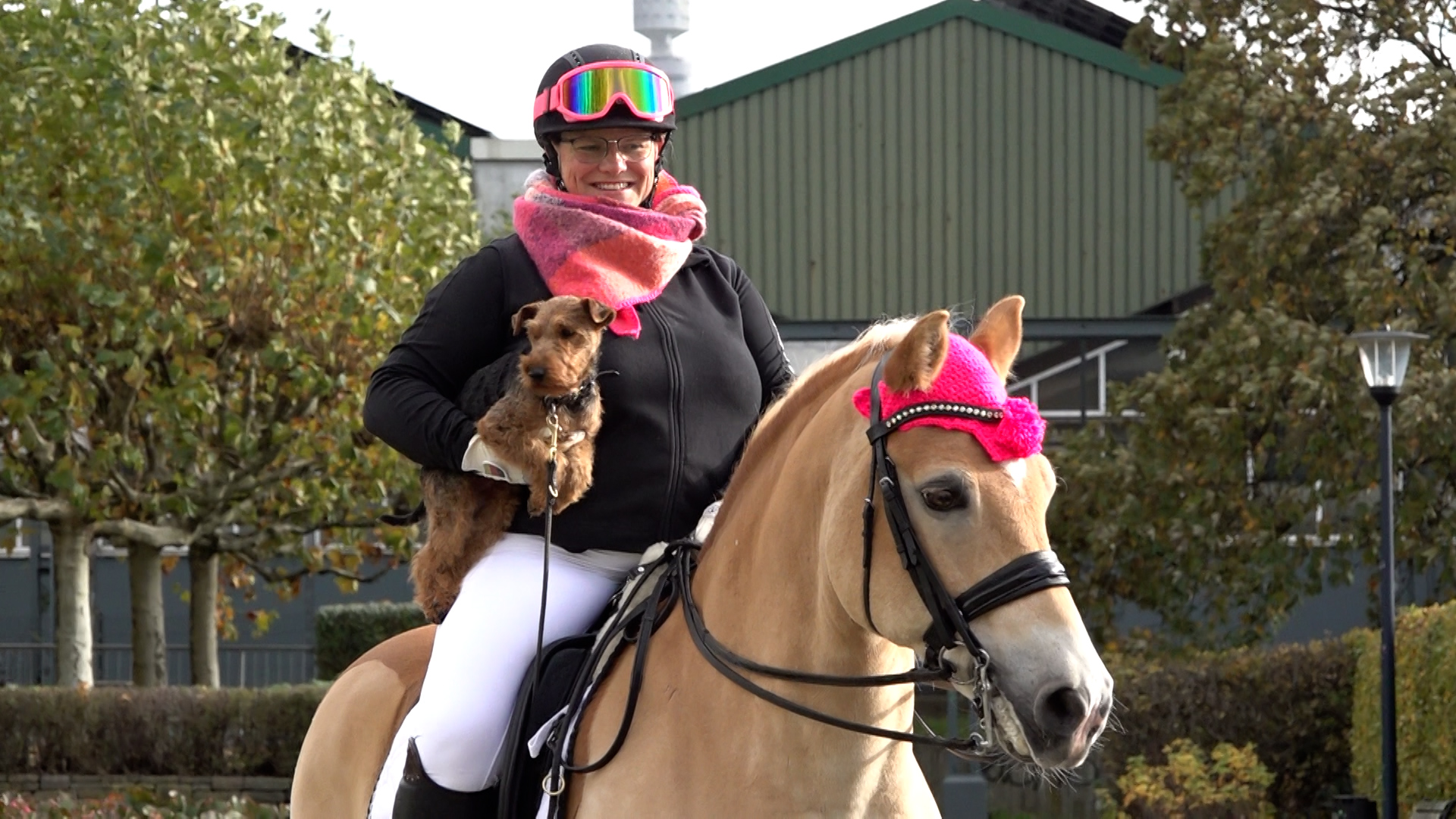 Video: Messe Hund und Pferd in Dortmund 2025