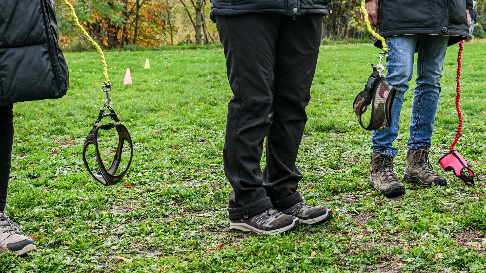 Video: Skurriler Trend: Hobby Dogging