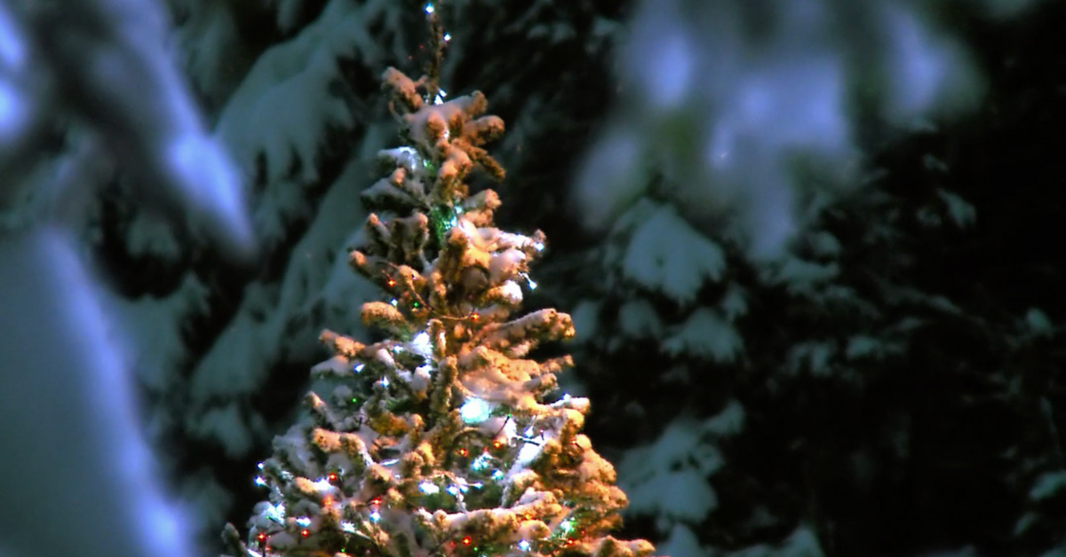 Gibt es 2025 weiße Weihnachten?