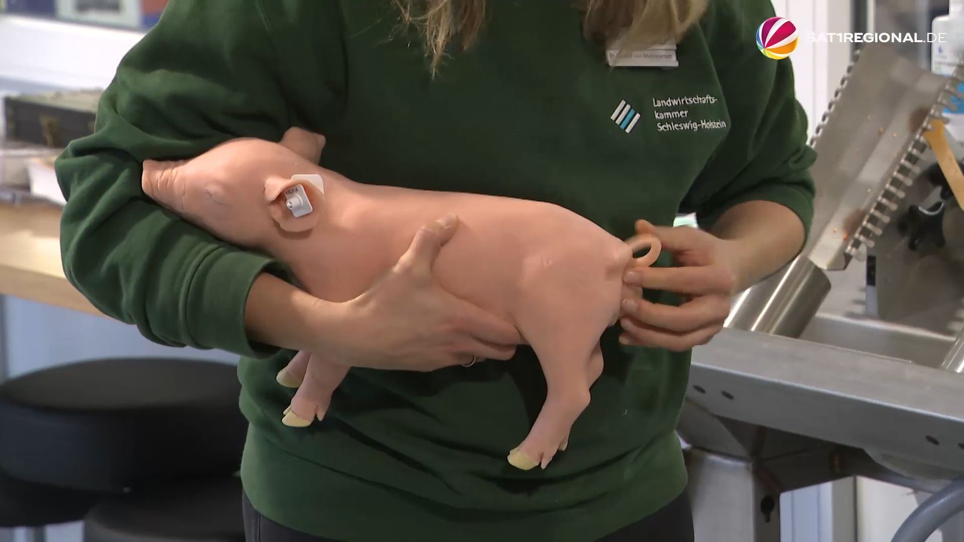 Video: „AgriSkills Lab“: Angehende Landwirte trainieren Umgang mit Tieren an Dummys