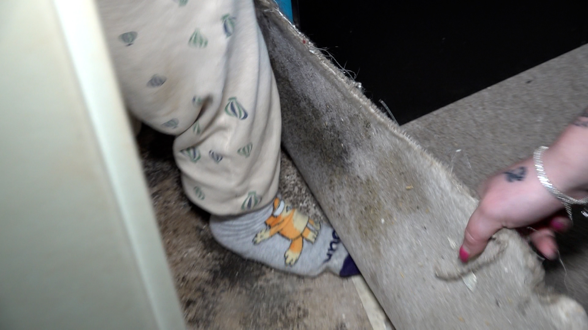 Video: Schimmel in der Wohnung - Mieter verzweifeln