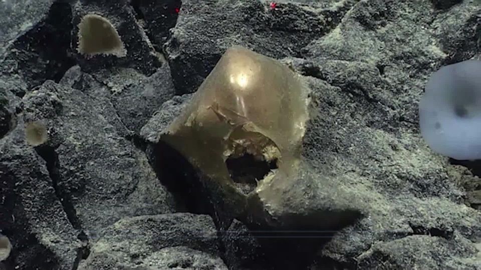 „Wie im Horrorfilm“: Mysteriöse goldene Kugel stellt Wissenschaftler vor Rätsel