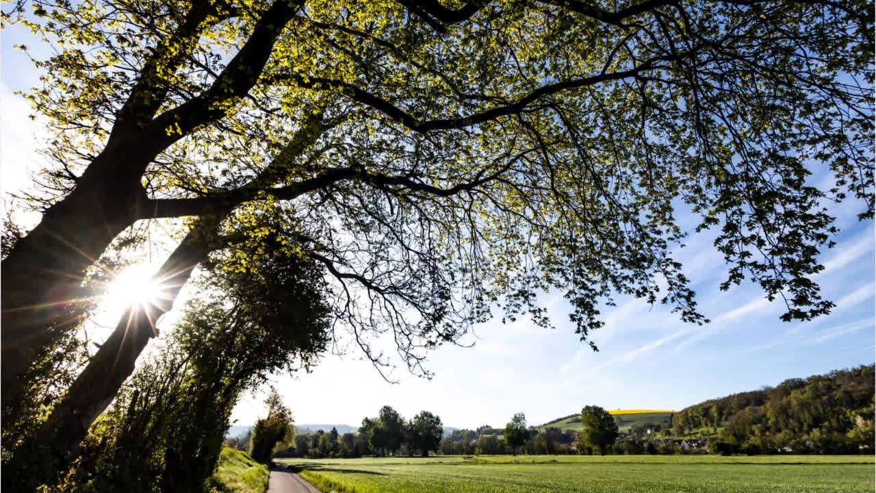 Video: Heiteres Frühlingswetter zum Wochenstart