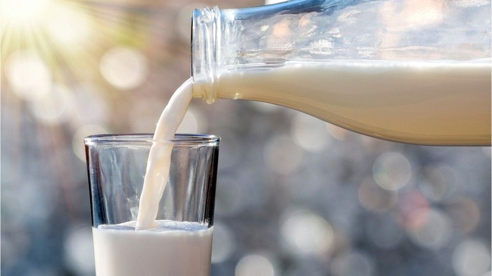 Jeden Tag Milch: Das sind die Folgen