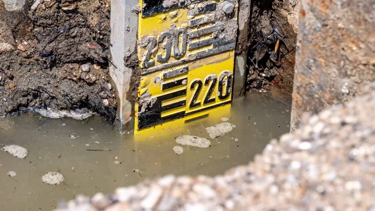 Video: Niedrigwasser auf der Donau: Trockenheit bremst die Schifffahrt