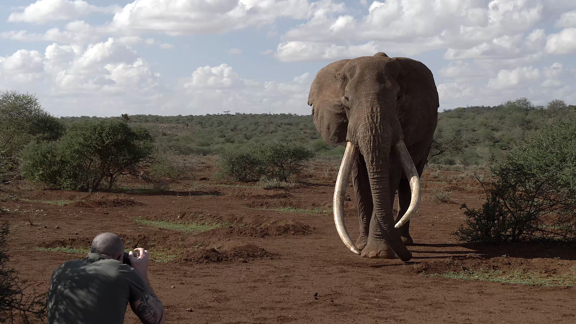 Video: Abenteuer vor der Linse: Lars Beusker zeigt uns seine spektakulärsten Naturfotos