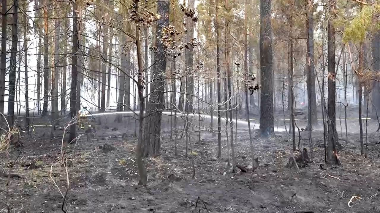 Video: Waldbrand in der Oberpfalz: Vier Einsatzkräfte ambulant behandelt