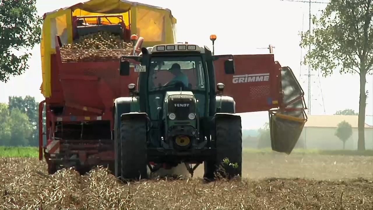 Video: Schwache Erntebilanz in Bayern? Heißer Sommer sorgt für Einbußen