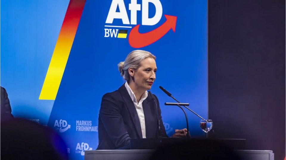 Trotz Filz-Vorwürfen: AfD dominiert Umfrage