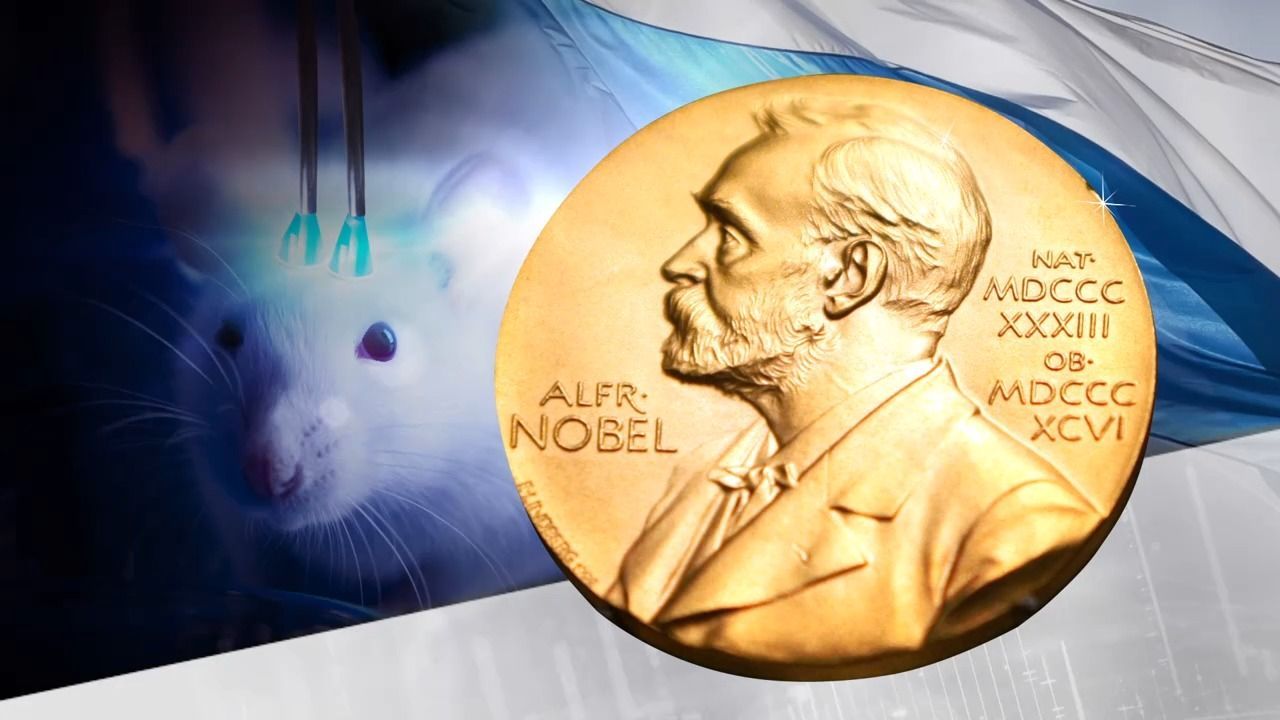 Video: Medizin-Nobelpreis: Würzburger Forscher ausgezeichnet